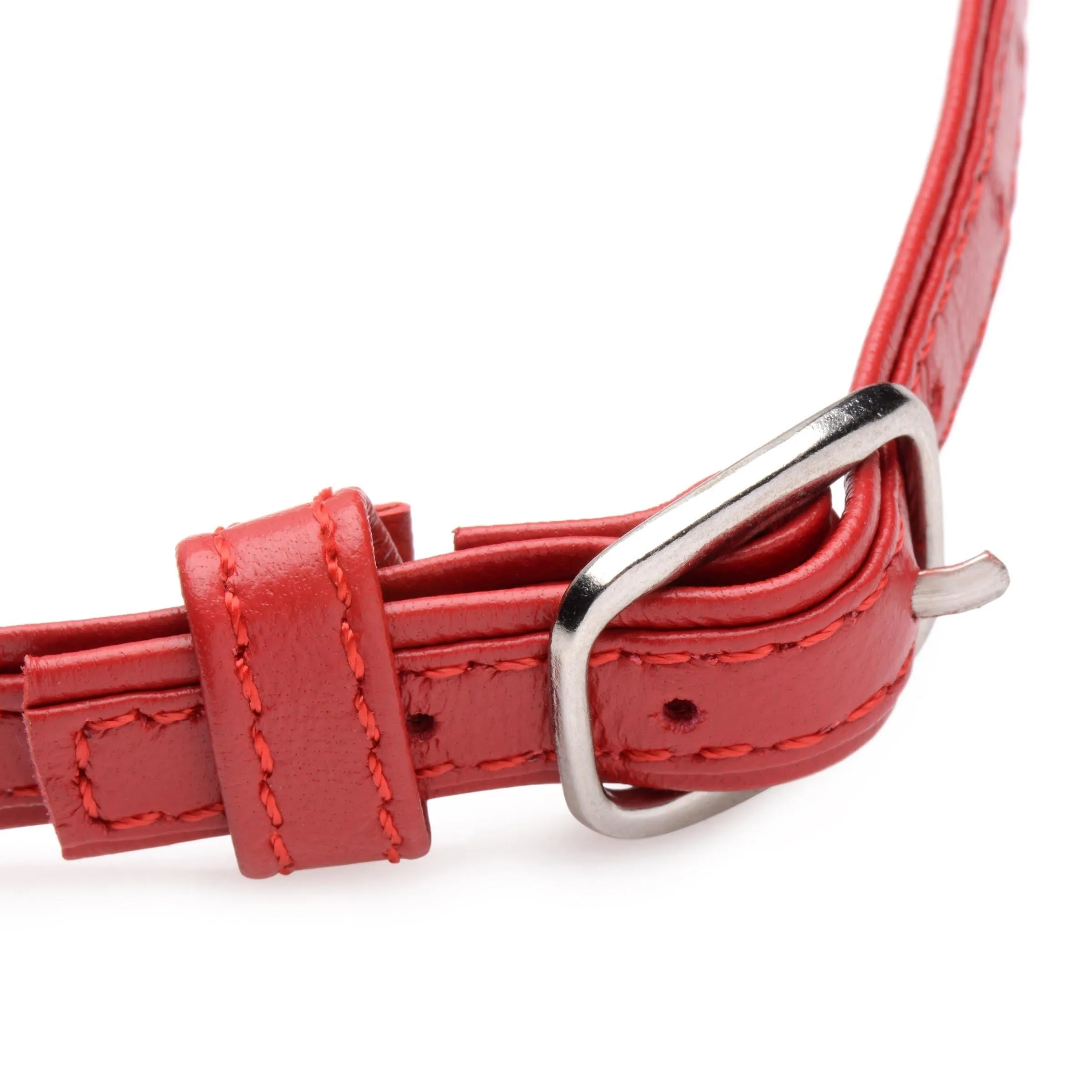 Sex Pet Leather Choker with Silver Ring